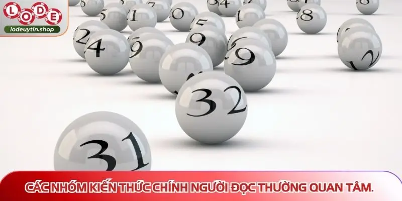 Các nhóm kiến thức chính người đọc thường quan tâm.