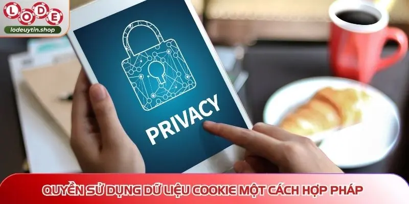 Quyền sử dụng dữ liệu Cookie một cách hợp pháp từ nền tảng
