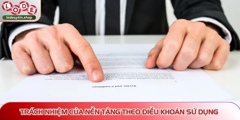 Trách nhiệm của nền tảng theo điều khoản sử dụng